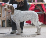 Filename=M-HecticHerbert.jpg
Filesize=108KiB
Dimensions=800x667
Date added=May 27, 2014 M-HecticHerbert.jpg