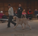 Filename=R-Kemelia.JPG
Filesize=52KiB
Dimensions=700x664
Date added=May 27, 2014 R-Kemelia.JPG