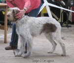 Filename=S-IlCorraggioso.jpg
Filesize=113KiB
Dimensions=800x692
Date added=May 27, 2014 S-IlCorraggioso.jpg