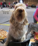 Filename=Verdi.jpg
Filesize=150KiB
Dimensions=800x966
Date added=May 27, 2014 Verdi.jpg