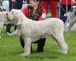 Filename=A-Amelia.jpg
Filesize=271KiB
Dimensions=800x642
Date added=Aug 09, 2017 A-Amelia.jpg