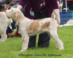 Filename=A-PawsForApplause.jpg
Filesize=265KiB
Dimensions=800x636
Date added=Aug 09, 2017 A-PawsForApplause.jpg