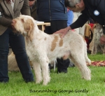Filename=B-GeorgeGently.jpg
Filesize=267KiB
Dimensions=800x731
Date added=Aug 09, 2017 B-GeorgeGently.jpg