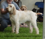 Filename=C-CavolaVerza.jpg
Filesize=246KiB
Dimensions=800x689
Date added=Aug 09, 2017 C-CavolaVerza.jpg