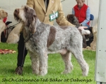 Filename=C-TedBaker.jpg
Filesize=266KiB
Dimensions=800x639
Date added=Aug 09, 2017 C-TedBaker.jpg