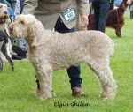 Filename=E-Ghilea.jpg
Filesize=306KiB
Dimensions=800x681
Date added=Aug 09, 2017 E-Ghilea.jpg