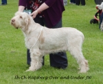 Filename=Hapsberg-OverAndUnder.jpg
Filesize=228KiB
Dimensions=800x656
Date added=Aug 09, 2017 Hapsberg-OverAndUnder.jpg