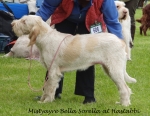 Filename=M-BellaSorella.jpg
Filesize=257KiB
Dimensions=800x622
Date added=Aug 09, 2017 M-BellaSorella.jpg