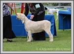 Filename=A Amelia.jpg
Filesize=224KiB
Dimensions=1090x801
Date added=May 27, 2014 A Amelia.jpg