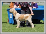 Filename=Afterglow-PawsForApplause.jpg
Filesize=266KiB
Dimensions=1090x810
Date added=May 27, 2014 Afterglow-PawsForApplause.jpg