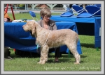 Filename=D OnceUponATime.jpg
Filesize=249KiB
Dimensions=1090x787
Date added=May 27, 2014 D OnceUponATime.jpg