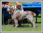 Filename=I Harriet.jpg
Filesize=286KiB
Dimensions=1090x851
Date added=May 27, 2014 I Harriet.jpg