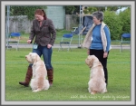 Filename=InTheRing-3.jpg
Filesize=253KiB
Dimensions=1090x853
Date added=May 27, 2014 InTheRing-3.jpg