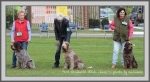 Filename=InTheRing.jpg
Filesize=193KiB
Dimensions=1090x599
Date added=May 27, 2014 InTheRing.jpg