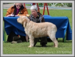 Filename=P Guinevere.jpg
Filesize=255KiB
Dimensions=1090x834
Date added=May 27, 2014 P Guinevere.jpg