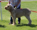 Filename=E-Ghilea.jpg
Filesize=312KiB
Dimensions=800x649
Date added=Aug 09, 2017 E-Ghilea.jpg