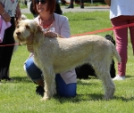 Filename=F-Ilda.jpg
Filesize=265KiB
Dimensions=800x680
Date added=Aug 09, 2017 F-Ilda.jpg