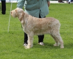 Filename=L-PlentyOToole.jpg
Filesize=291KiB
Dimensions=800x650
Date added=Aug 09, 2017 L-PlentyOToole.jpg