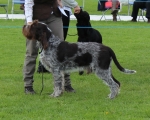 Filename=T-Ettore.jpg
Filesize=264KiB
Dimensions=800x645
Date added=Aug 09, 2017 T-Ettore.jpg