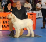 Filename=D-FiglioDiUnaPesca.jpg
Filesize=216KiB
Dimensions=800x742
Date added=Aug 09, 2017 D-FiglioDiUnaPesca.jpg