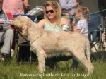 Filename=B-BrotherlyLove.jpg
Filesize=102KiB
Dimensions=800x600
Date added=Aug 09, 2017 B-BrotherlyLove.jpg