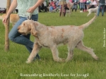 Filename=B-BrotherlyLove2.jpg
Filesize=95KiB
Dimensions=800x600
Date added=Aug 09, 2017 B-BrotherlyLove2.jpg