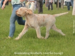 Filename=B-BrotherlyLove3.jpg
Filesize=98KiB
Dimensions=800x600
Date added=Aug 09, 2017 B-BrotherlyLove3.jpg