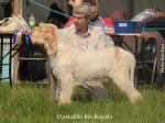 Filename=H-KirRoyale.jpg
Filesize=98KiB
Dimensions=800x600
Date added=Aug 09, 2017 H-KirRoyale.jpg