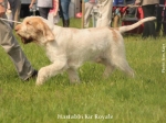 Filename=H-KirRoyale2.jpg
Filesize=92KiB
Dimensions=800x600
Date added=Aug 09, 2017 H-KirRoyale2.jpg