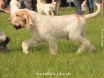 Filename=H-KirRoyale3.jpg
Filesize=91KiB
Dimensions=800x600
Date added=Aug 09, 2017 H-KirRoyale3.jpg