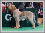 Filename=B_GeorgeGently.jpg
Filesize=201KiB
Dimensions=990x733
Date added=Aug 09, 2017 B_GeorgeGently.jpg