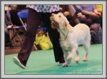 Filename=C_NannyOgg-1.jpg
Filesize=159KiB
Dimensions=990x733
Date added=Aug 09, 2017 C_NannyOgg-1.jpg