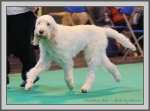 Filename=F_Halli-1.jpg
Filesize=147KiB
Dimensions=990x733
Date added=Aug 09, 2017 F_Halli-1.jpg