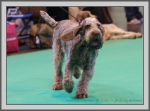 Filename=I_Harriet-2.jpg
Filesize=155KiB
Dimensions=990x733
Date added=Aug 09, 2017 I_Harriet-2.jpg