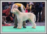 Filename=L_Dailuane.jpg
Filesize=198KiB
Dimensions=990x733
Date added=Aug 09, 2017 L_Dailuane.jpg