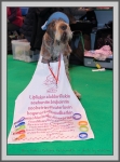 Filename=M_Zambuca-6.jpg
Filesize=204KiB
Dimensions=733x990
Date added=Aug 09, 2017 M_Zambuca-6.jpg