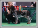Filename=T_Ettore.jpg
Filesize=205KiB
Dimensions=990x733
Date added=Aug 09, 2017 T_Ettore.jpg