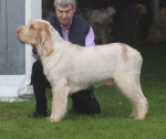Filename=H-KirRoyale.jpg
Filesize=131KiB
Dimensions=800x672
Date added=Aug 09, 2017 H-KirRoyale.jpg