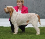 Filename=I-Fiorella.jpg
Filesize=157KiB
Dimensions=800x697
Date added=Aug 09, 2017 I-Fiorella.jpg