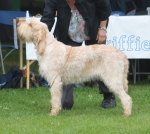 Filename=R-Kemelia.jpg
Filesize=182KiB
Dimensions=800x719
Date added=Aug 09, 2017 R-Kemelia.jpg