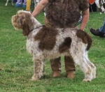 Filename=Del-ComoInostricani.jpg
Filesize=292KiB
Dimensions=800x706
Date added=Aug 09, 2017 Del-ComoInostricani.jpg
