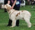 Filename=H-DevonMagic.jpg
Filesize=268KiB
Dimensions=800x684
Date added=Aug 09, 2017 H-DevonMagic.jpg