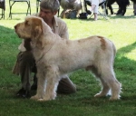 Filename=H-KirRoyale.jpg
Filesize=265KiB
Dimensions=800x684
Date added=Aug 09, 2017 H-KirRoyale.jpg