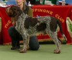 Filename=T-Ettore.jpg
Filesize=163KiB
Dimensions=800x665
Date added=Aug 09, 2017 T-Ettore.jpg
