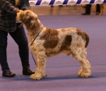 Filename=Del-ComoInostricani.jpg
Filesize=161KiB
Dimensions=800x692
Date added=Aug 10, 2017 Del-ComoInostricani.jpg