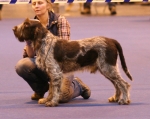 Filename=T-Ettore.jpg
Filesize=151KiB
Dimensions=800x637
Date added=Aug 10, 2017 T-Ettore.jpg