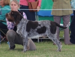 Filename=T-Ettore.jpg
Filesize=215KiB
Dimensions=800x615
Date added=Aug 10, 2017 T-Ettore.jpg