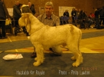 Filename=H-KirRoyale.jpg
Filesize=100KiB
Dimensions=800x600
Date added=Aug 10, 2017 H-KirRoyale.jpg