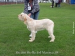 Filename=R-Biella.jpg
Filesize=192KiB
Dimensions=900x675
Date added=Aug 10, 2017 R-Biella.jpg