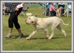 Filename=C_LimonCino_3.jpg
Filesize=1279KiB
Dimensions=1190x869
Date added=Aug 11, 2017 C_LimonCino_3.jpg